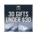 30 Gifts Under $30